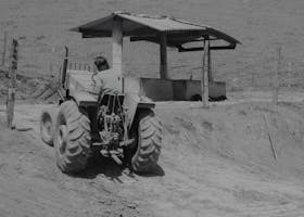 Back view of a farmer driving a tractor on a dirt path near a simple wooden shed.